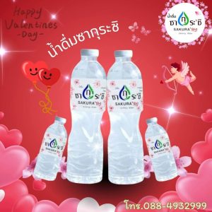 รับทำแบรนด์น้ำดื่มชุมพลบุรี