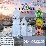 รับทำแบรนด์น้ำดื่มหนองเต่า