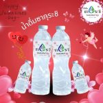 รับผลิตน้ำดื่มแสลงพันธ์